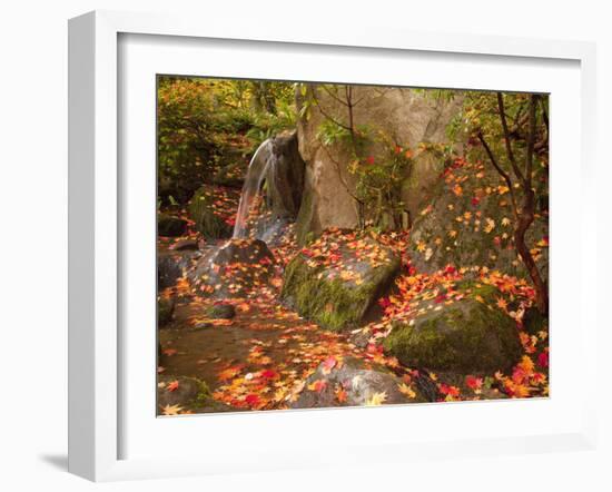 Japanese Garden, Washington Park Arboretum, Seattle, Washington, Usa-Jamie & Judy Wild-Framed Photographic Print