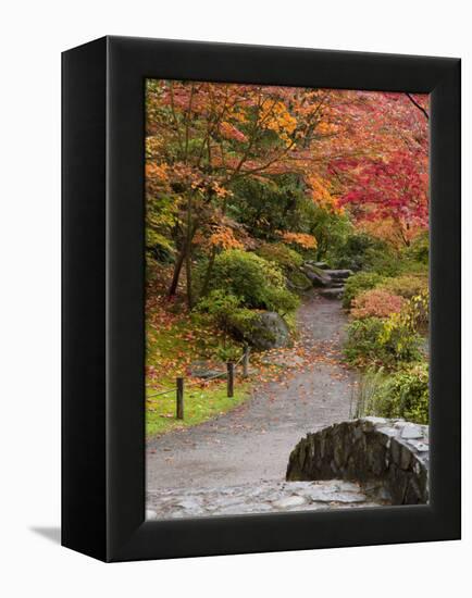 Japanese Garden, Washington Park Arboretum, Seattle, Washington, Usa-Jamie & Judy Wild-Framed Premier Image Canvas