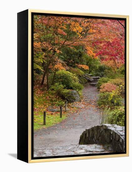 Japanese Garden, Washington Park Arboretum, Seattle, Washington, Usa-Jamie & Judy Wild-Framed Premier Image Canvas