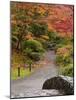 Japanese Garden, Washington Park Arboretum, Seattle, Washington, Usa-Jamie & Judy Wild-Mounted Photographic Print