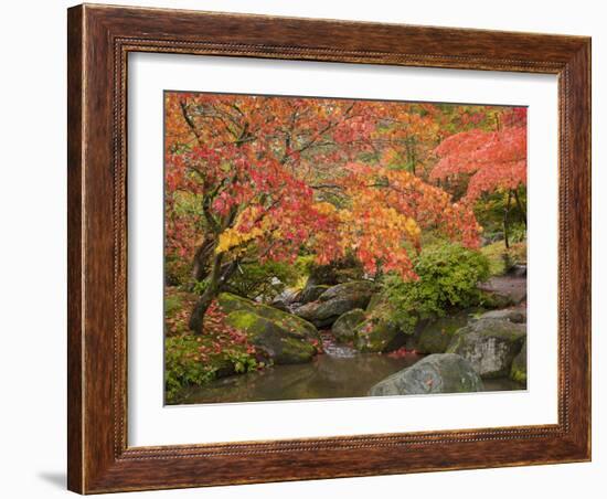 Japanese Garden, Washington Park Arboretum, Seattle, Washington, Usa-Jamie & Judy Wild-Framed Photographic Print