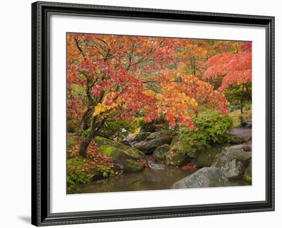 Japanese Garden, Washington Park Arboretum, Seattle, Washington, Usa-Jamie & Judy Wild-Framed Photographic Print
