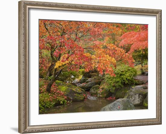 Japanese Garden, Washington Park Arboretum, Seattle, Washington, Usa-Jamie & Judy Wild-Framed Photographic Print