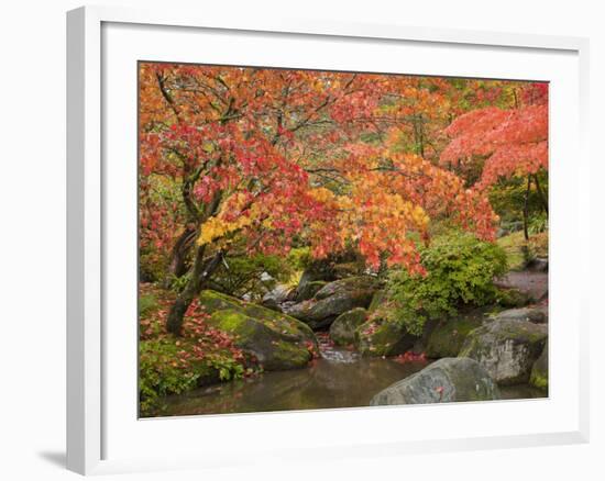 Japanese Garden, Washington Park Arboretum, Seattle, Washington, Usa-Jamie & Judy Wild-Framed Photographic Print