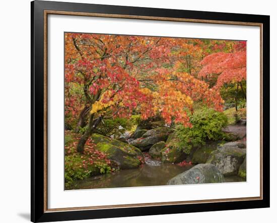 Japanese Garden, Washington Park Arboretum, Seattle, Washington, Usa-Jamie & Judy Wild-Framed Photographic Print