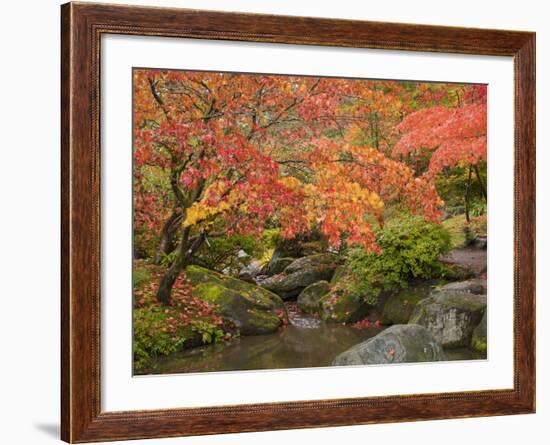 Japanese Garden, Washington Park Arboretum, Seattle, Washington, Usa-Jamie & Judy Wild-Framed Photographic Print