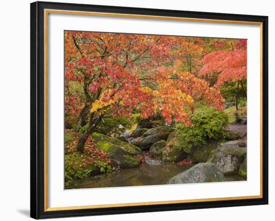 Japanese Garden, Washington Park Arboretum, Seattle, Washington, Usa-Jamie & Judy Wild-Framed Photographic Print