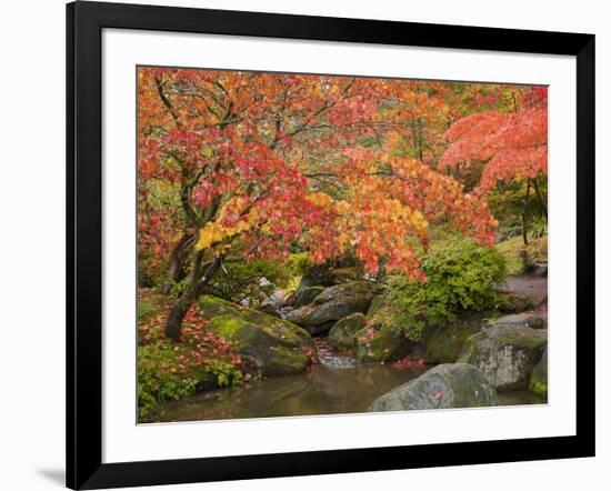 Japanese Garden, Washington Park Arboretum, Seattle, Washington, Usa-Jamie & Judy Wild-Framed Photographic Print