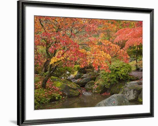 Japanese Garden, Washington Park Arboretum, Seattle, Washington, Usa-Jamie & Judy Wild-Framed Photographic Print