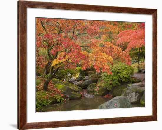 Japanese Garden, Washington Park Arboretum, Seattle, Washington, Usa-Jamie & Judy Wild-Framed Photographic Print