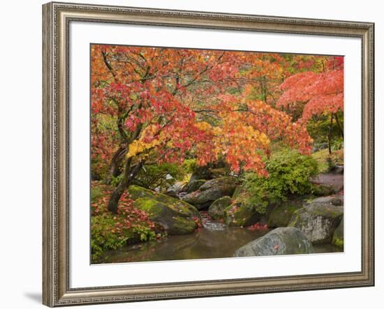 Japanese Garden, Washington Park Arboretum, Seattle, Washington, Usa-Jamie & Judy Wild-Framed Photographic Print