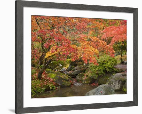 Japanese Garden, Washington Park Arboretum, Seattle, Washington, Usa-Jamie & Judy Wild-Framed Photographic Print