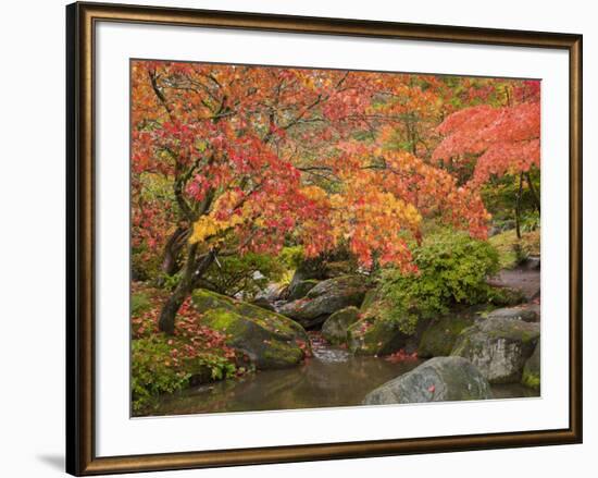 Japanese Garden, Washington Park Arboretum, Seattle, Washington, Usa-Jamie & Judy Wild-Framed Photographic Print