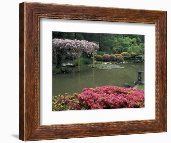 Japanese Garden with Rhododendrons and Wysteria, Seattle, Washington, USA-Jamie & Judy Wild-Framed Photographic Print