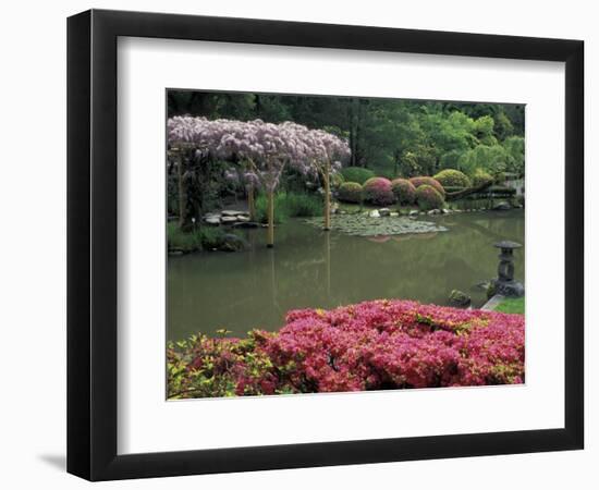 Japanese Garden with Rhododendrons and Wysteria, Seattle, Washington, USA-Jamie & Judy Wild-Framed Photographic Print