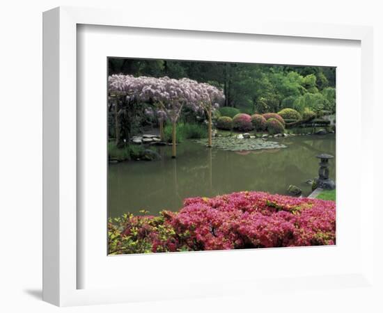 Japanese Garden with Rhododendrons and Wysteria, Seattle, Washington, USA-Jamie & Judy Wild-Framed Photographic Print