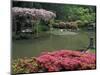 Japanese Garden with Rhododendrons and Wysteria, Seattle, Washington, USA-Jamie & Judy Wild-Mounted Photographic Print