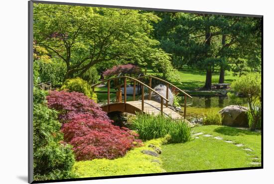 Japanese Garden-Michael Shake-Mounted Photographic Print