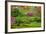 Japanese Garden-neirfy-Framed Photographic Print