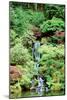 Japanese Garden-Erin Berzel-Mounted Photographic Print