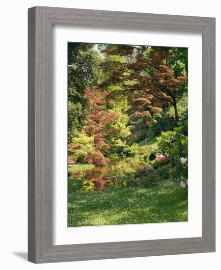 Japanese Garden-Thonig-Framed Photographic Print