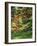 Japanese Garden-Thonig-Framed Photographic Print