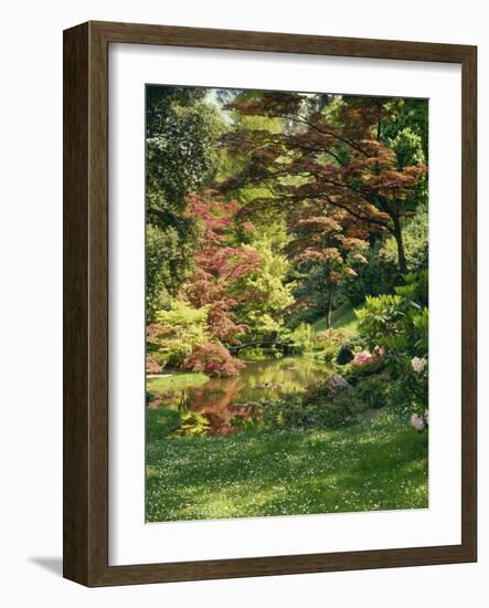 Japanese Garden-Thonig-Framed Photographic Print