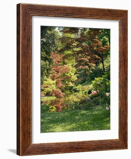 Japanese Garden-Thonig-Framed Photographic Print