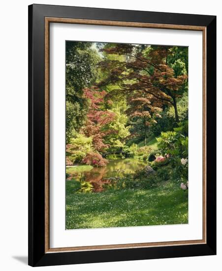 Japanese Garden-Thonig-Framed Photographic Print