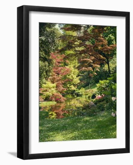 Japanese Garden-Thonig-Framed Photographic Print