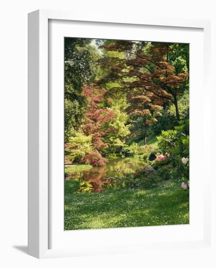 Japanese Garden-Thonig-Framed Photographic Print