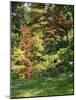 Japanese Garden-Thonig-Mounted Photographic Print