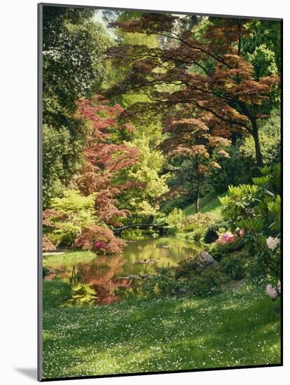 Japanese Garden-Thonig-Mounted Photographic Print