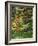 Japanese Garden-Thonig-Framed Photographic Print