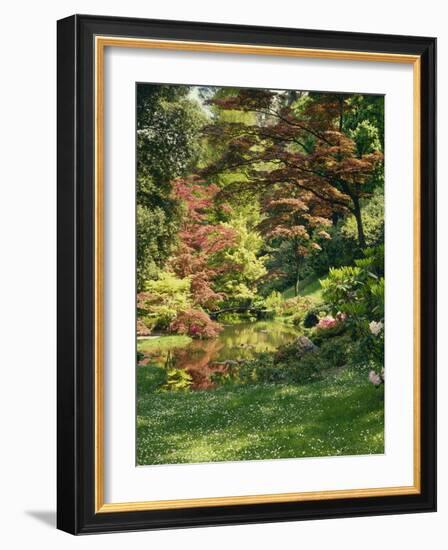 Japanese Garden-Thonig-Framed Photographic Print
