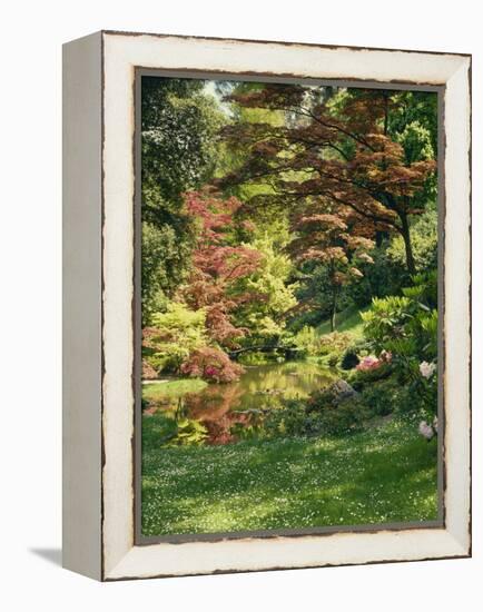 Japanese Garden-Thonig-Framed Premier Image Canvas