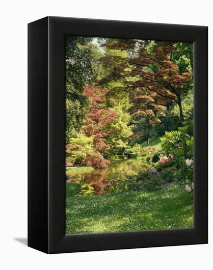 Japanese Garden-Thonig-Framed Premier Image Canvas