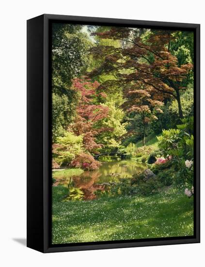 Japanese Garden-Thonig-Framed Premier Image Canvas