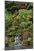 Japanese Gardens I-Brian Moore-Mounted Photographic Print
