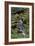 Japanese Gardens II-Brian Moore-Framed Photographic Print