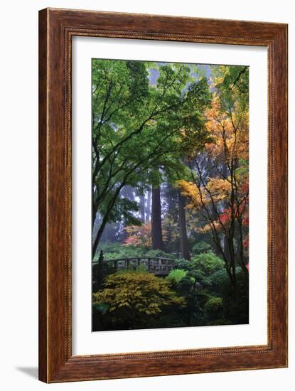 Japanese Gardens III-Brian Moore-Framed Photographic Print