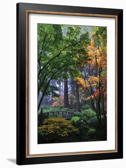 Japanese Gardens III-Brian Moore-Framed Photographic Print