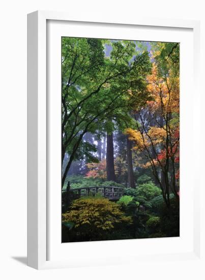 Japanese Gardens III-Brian Moore-Framed Photographic Print