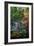 Japanese Gardens III-Brian Moore-Framed Photographic Print