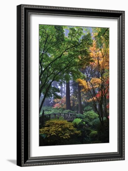 Japanese Gardens III-Brian Moore-Framed Photographic Print