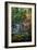 Japanese Gardens III-Brian Moore-Framed Photographic Print