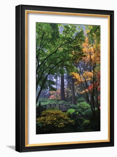 Japanese Gardens III-Brian Moore-Framed Photographic Print