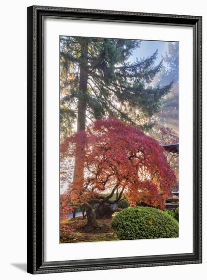 Japanese Gardens in autumn in Portland, Oregon, USA-Chuck Haney-Framed Photographic Print