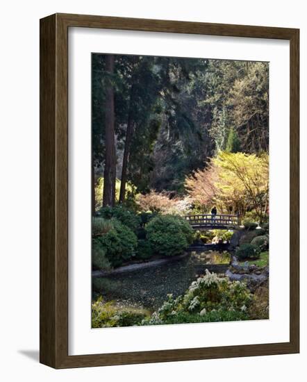 Japanese Gardens in Washington Park, Portland, Oregon, USA-Janis Miglavs-Framed Photographic Print