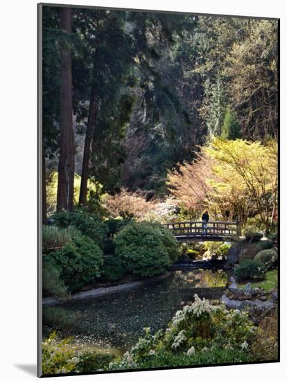 Japanese Gardens in Washington Park, Portland, Oregon, USA-Janis Miglavs-Mounted Photographic Print